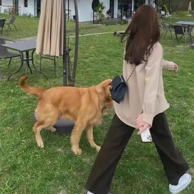 今天也是女演员